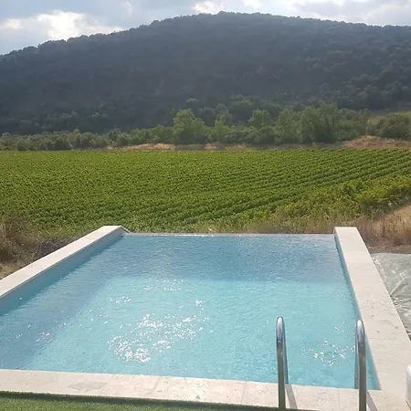 Des Vignes *